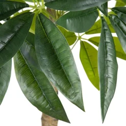Bambou Arbre pvc^Banak Best