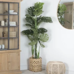 Bowa Plante faux philodendron^Banak Discount