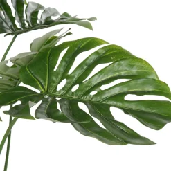 Bowa Plante faux philodendron^Banak Discount
