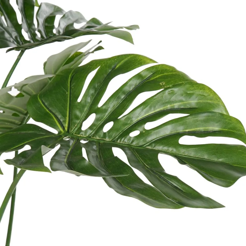 Bowa Plante faux philodendron^Banak Discount