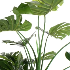 Bowa Plante faux philodendron^Banak Discount