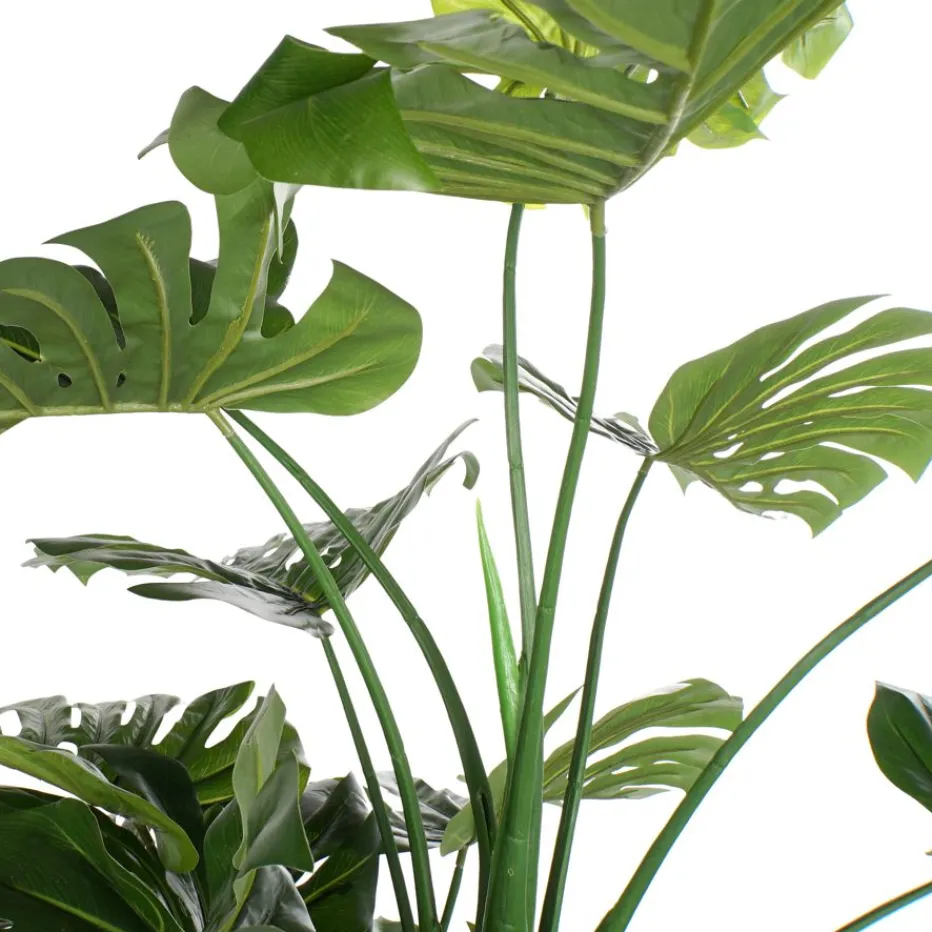 Bowa Plante faux philodendron^Banak Discount
