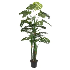 Bowa Plante faux philodendron^Banak Discount