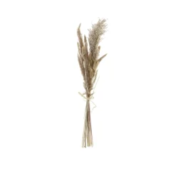 Branche De fleurs séchées^Banak Sale
