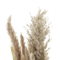 Branche De fleurs séchées^Banak Sale