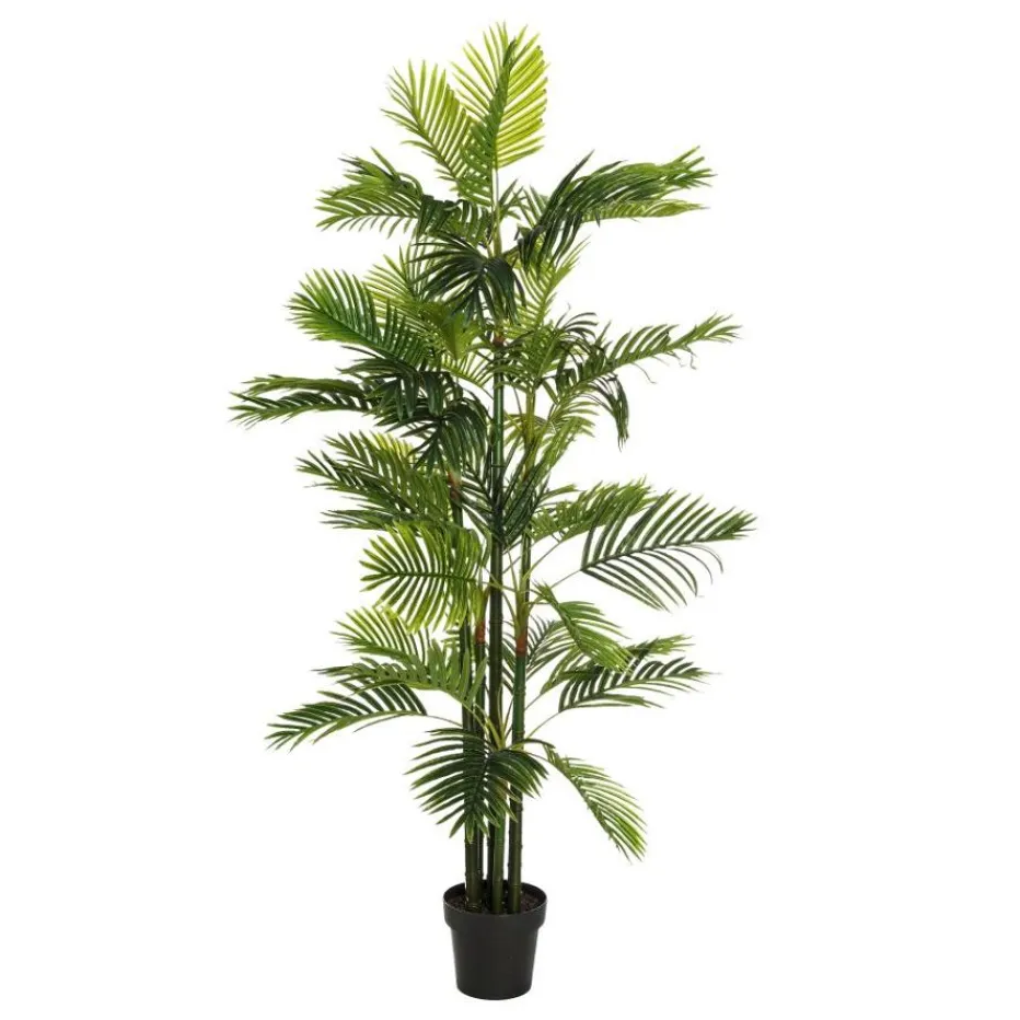 Coly Plant areca palm tree green "pvc"^Banak Discount