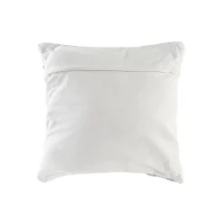 Laska Coussin^Banak