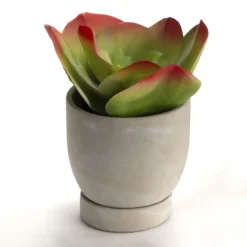 Zaku Pot de fleurs en ciment^Banak New
